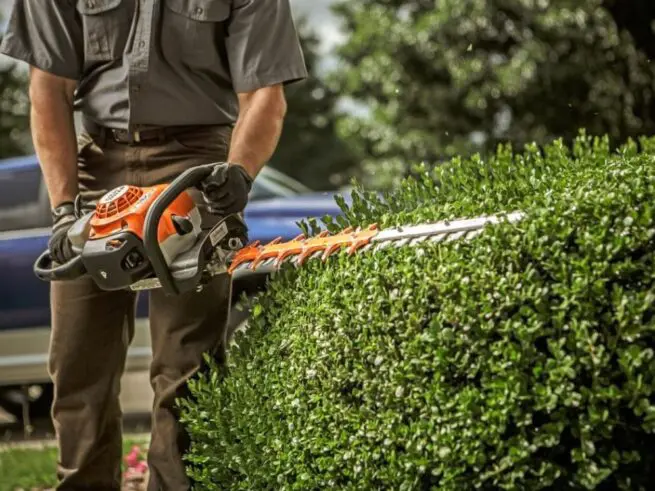 mand klipper hæk med stihl hækkeklipper hs 82 rc-e