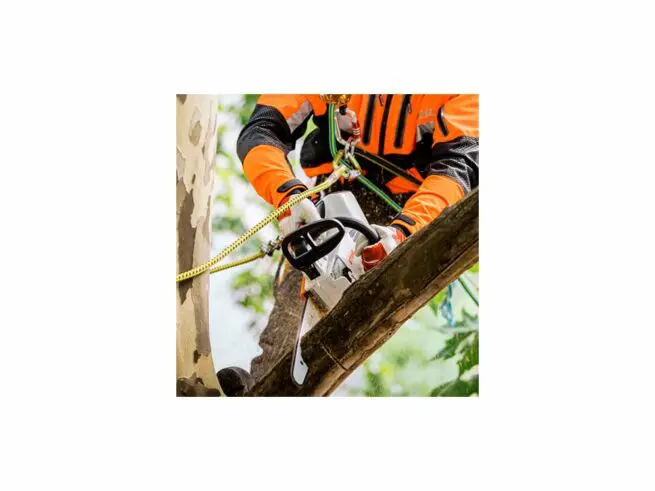 STIHL Batterisav MSA 161 T_2