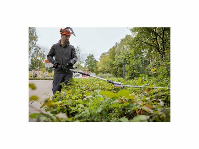 mand klipper hæk med kombisystem