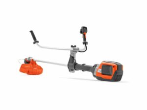 orange og grå buskrydder