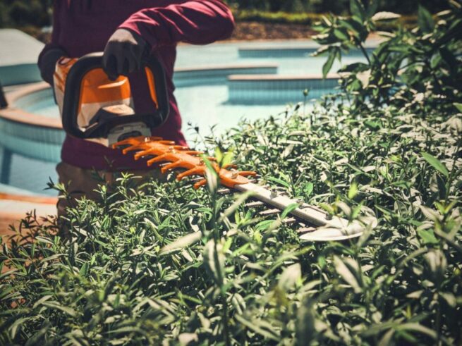 kvinde klipper hæk med stihl batterihækkeklipper hsa 140 r