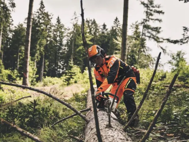 mand iført skovhjelm og skæreudstyr afkvister træstamme me stihl motorsav ms 400 c-m vw