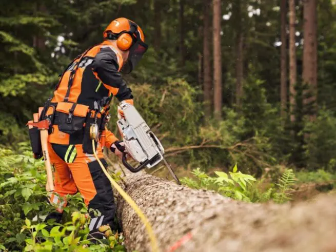 mand iført skovhjelm og skæreudstyr afkvister træstamme me stihl motorsav ms 400 c-m vw