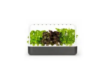 mørkegrå click and go smart garden 9 med krydderurter