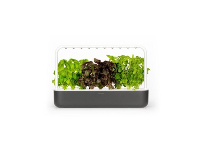 mørkegrå click and go smart garden 9 med krydderurter