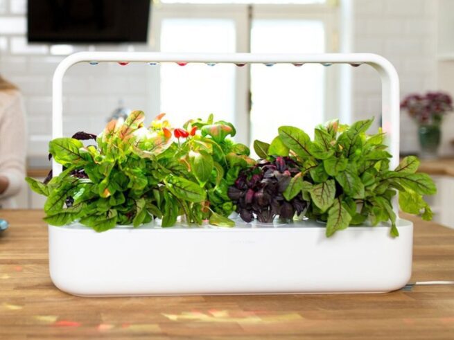 hvid click and grow smart garden 9 med krydderurter på køkkenbord