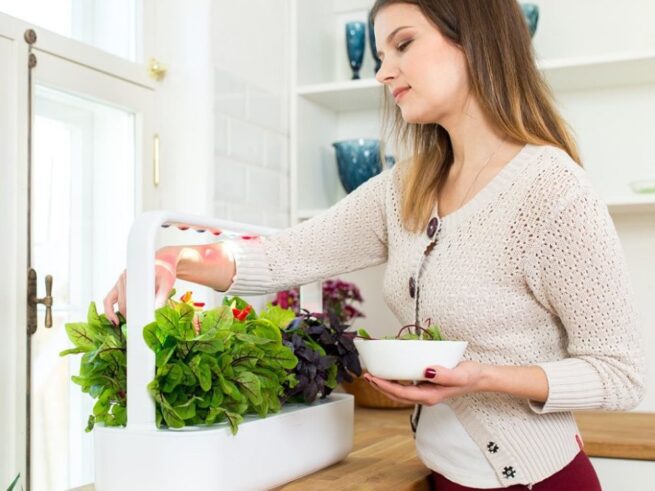 Click and Grow - Smart Garden 9 - Start kit - Mørkegrå - Billede 4