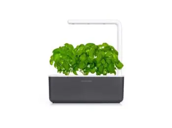mørkegrå click and grow smart garden 3 med basilikum