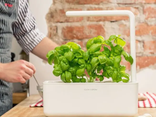 hvid click and grow smart garden 3 med basilikum