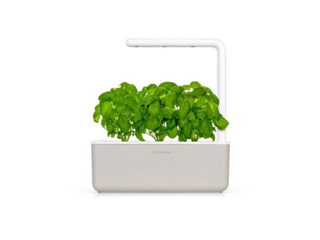 mellow beige click and grow smart garden 3 med basilikum