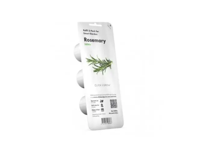click and grow rosmarin