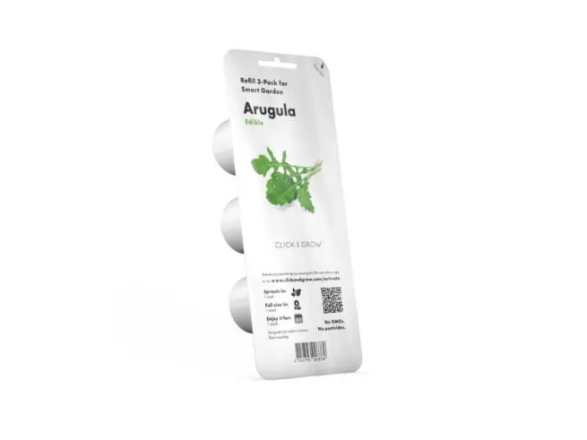 click and grow rucola