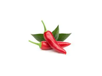 click and grow red hot chili pepper