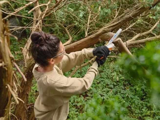 STIHL Batterihåndsav GTA 30 inkl. batteri og lader - Billede 11