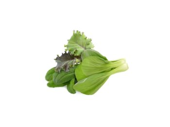 click and grow asiatisk køkkenblanding med pak choi, rød grønkål og mibuna