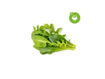 click and grow grøn salatmix