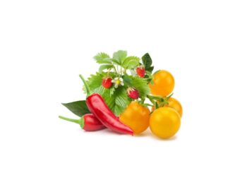 click and grow frugt- og grønsagsblanding med rød chili, gule tomater og jordbær