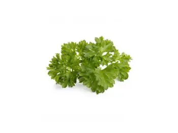 click and grow persille