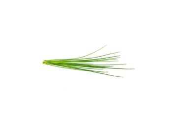 click and grow purløg
