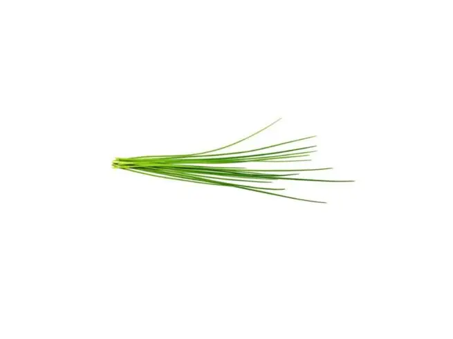 click and grow purløg