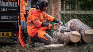 mand skærer træstykker med husqvarna batterimotorsav