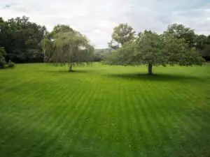 Husqvarna Automower 312V Valgfrit klippemønster