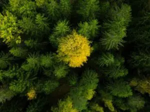 lave co2 emissioner Automower 312v