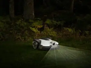 Hensyn til dyrelivet med AI vision-teknologi