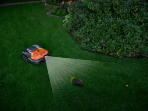 robotplæneklipperer registrerer pindsvin ved hjælp af ai-vision