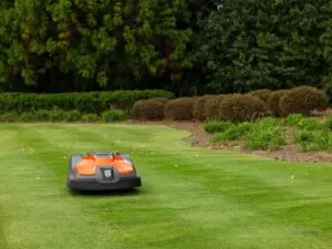 husqvarna automower klipper græs på græsplæne