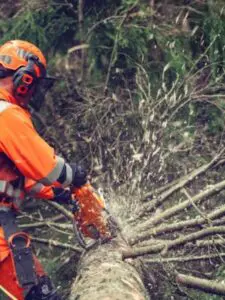 motor med kort slaglængde